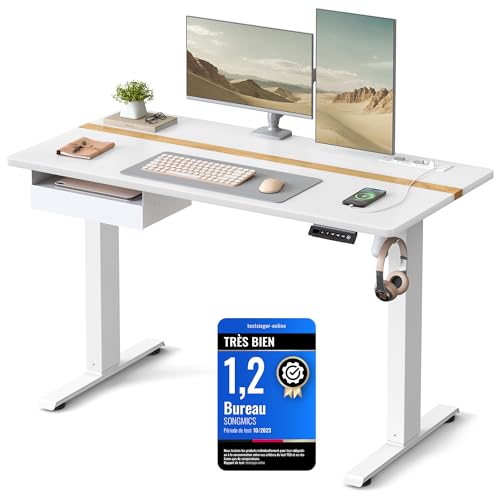 VASAGLE Bureau Électrique Réglable en Hauteur, Bureau Assis-Debout, Surface 60 x 120 cm, Réglable en Continu, Fonction Mémoire de 4 Hauteurs, Blanc LSD112W01