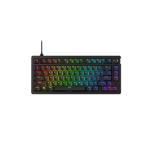 HyperX Alloy Rise 75 - Clavier Gaming mécanique, switches réseau, Hot Swap à Chaud, Format 75 , boîtier magnétique Interchangeable, Noir (QWERTY Espagnol)