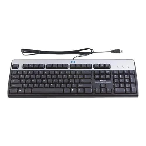 HP Desktop 320K Clavier Filaire USB AZERTY Français Full-Size Low Profile Câble 1.80m pour PC et Ordinateur Portable