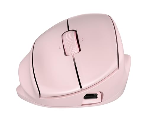 HP Tilt Souris Ergonomique Rose 720M Euro BH7N4AA ABB