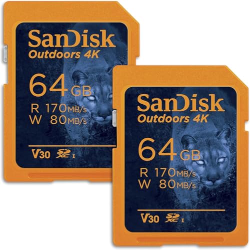 SanDisk Lot de 2 cartes mémoire 4K SDXC UHS-I 64 Go pour l'extérieur jusqu'à 170 Mo s, C10, U3, V30, caméra Trail – SDSDSDXW2-064G-GN6V2