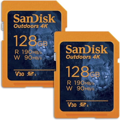 SanDisk Lot de 2 cartes mémoire 4K SDXC UHS-I 128 Go pour l'extérieur jusqu'à 180 Mo s, C10, U3, V30, appareil photo Trail – SDSDXWA-128G-GN6V2