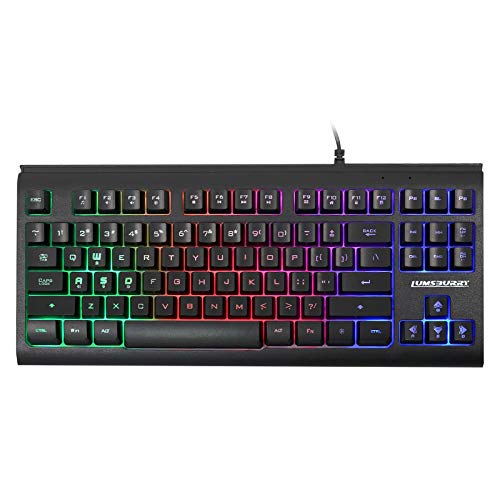 Lumsburry Clavier d'ordinateur compact 87 touches USB filaire avec éclairage LED arc-en-ciel rétroéclairé pour PC gaming ordinateur portable Teclado Gamers Bureau Travail