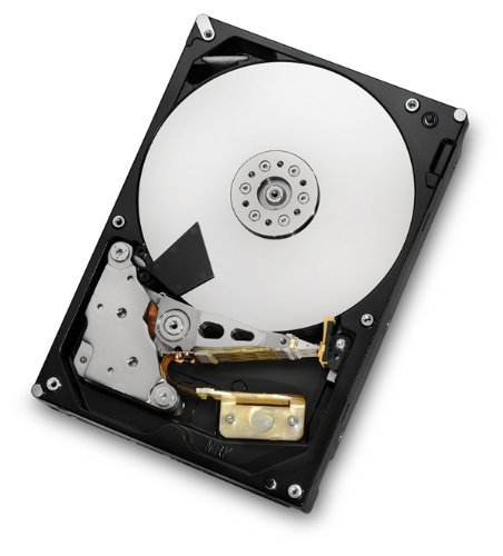 HGST Ultrastar 7K4000 4To - Disques durs internes (Serial ATA III, 5-60°C, Avec fil) (Reconditionné)