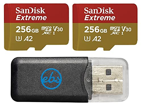 SanDisk Extreme Carte mémoire microSDXC U3 V30 A2 256 Go (2) Fonctionne avec caméra d'action GoPro Hero 12 Noir (SDSQXAV-256G-GN6MN) Bundle avec (1) lecteur de carte micro Everything But Stromboli