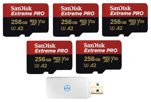 SanDisk Micro Lot de 5 cartes mémoire Extreme Pro 256 Go avec drone DJI Air 2S, Air 2, Mini, Mini 2, Mavic 2 (SDSQXCD-256G-GN6MA) avec 1 lecteur de carte micro SDXC et SD Everything But Stromboli