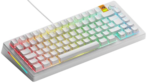 GLORIOUS Gaming GMMK 3 Clavier réactif, Effet Hall, taux de Polling 8K, switches MX et magnétiques (Hot Swap), Clavier 75 , Joints modulaires, Capuchons doubleshot PBT, française AZERTY