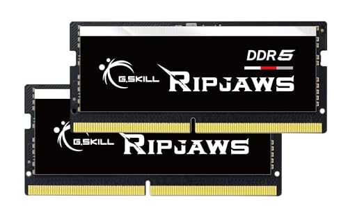 G.SKILL Ripjaws DDR5 SO-DIMM Series DDR5 96 Go (2 x 48 Go) 5600 MT s CL46-45-45-89 1,10 V sans tampon pour ordinateur portable ordinateur portable SO-DIMM (F5-5600S4645A48GX2-RS)