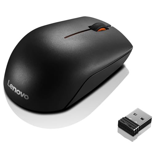 Lenovo Souris Compacte sans Fil 300 - WW