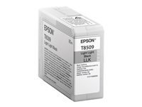 Epson Singlepack Light Black clair T850900