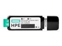 Hewlett Packard Enterprise HPE 32GB microSD RAID 1 USB Boot Drive flash (boot)