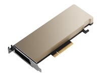 Hewlett Packard Enterprise NVIDIA A2 - processeur de calcul - A2 - 16 Go