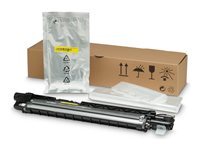 HP - Yellow - original - LaserJet - developpeur