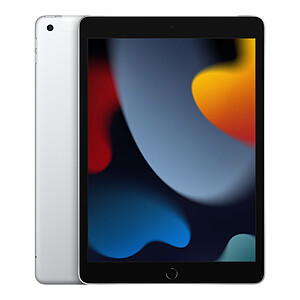 Apple iPad 2021 256 Go Wi-Fi Cellular Silver

