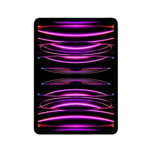Apple iPad Pro 2022 11 pouces 256 Go Wi Fi Cellular Grey Sideral
