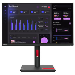 Lenovo Lenovo ThinkVision T24i 30 LED IPS 23 8 FullHD