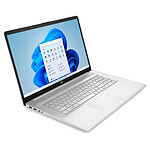 HP Laptop 17 cn3007nf

