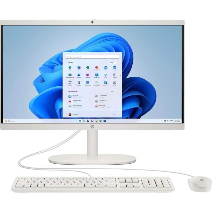 PC Tout-en-un HP 22-dg0000nf - Windows 11 - 215 FHD - Intel N100 - RAM 8 Go - Stockage 256Go SSD - Clavier et souris filaires