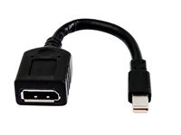 HP Adaptateur DisplayPort