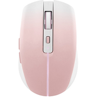 Souris Tnb GRADIENT Souris sans fil rechargeable DUAL CONNECT Pink
