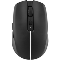 Souris Tnb GRADIENT Souris sans fil rechargeable DUAL CONNECT Black
