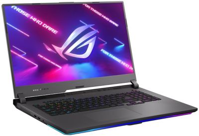 PC Gamer ASUS ROG STRIX G17 G713PV LL078
