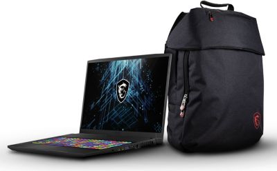PC Gamer MSI GF75 Thin 10UEK 035FR
