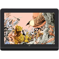 XPPEN Artist Pro 16 Gen 2 5080LPI 16 Noir