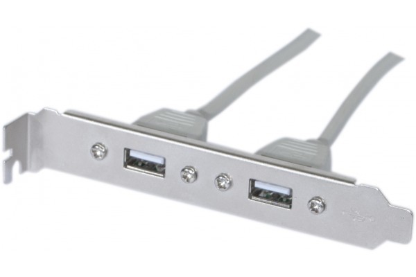 MCAD Equerre slot USB 2.0 2 ports - Carte mere DIP 10 pts