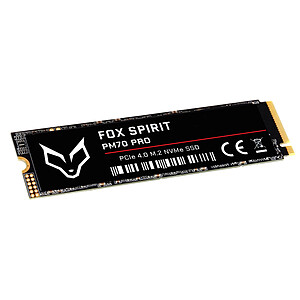 Fox Spirit PM70 PRO M 2 NVMe 1920 Go PCIe 4 0