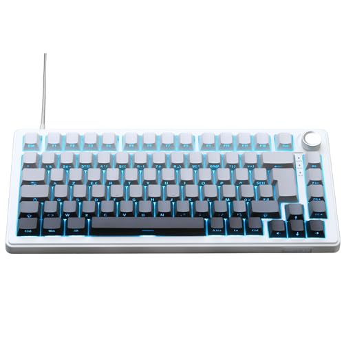 The G-Lab Keyz Elite 300 - Grey White