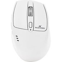 Bluestork R2 White
