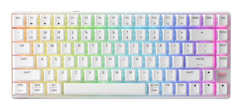 Cherry XTRFY K33 Compact Wireless, Clavier de Jeu sans Fil Mem-Chanical sans Fil, 75 de Taille, Clavier Multi-dispositifs, éclairage RVB, IP54 résistant à la poussière et aux éclaboussures