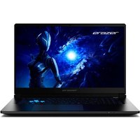 ERAZER SCOUT 17.3 FHD 144Hz i5-13420H 5050 16Go 1 To FD