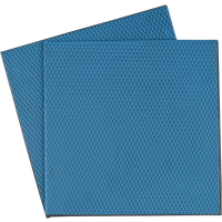 Thermal Grizzly Lot de 2 Minus Pad Basic - 100 x 100 x 0,5 mm