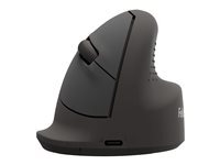 Fellowes Fellowes Breyta - souris verticale - moyen - Bluetooth, 2.4 GHz, USB-C - Black