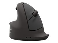 Fellowes Fellowes Breyta Plus - souris verticale - grand - Bluetooth, 2.4 GHz, USB-C - Black