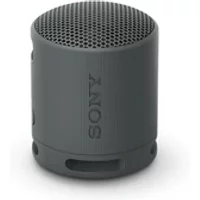 SRS-XB100 - Black Basalte