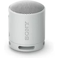 SRS-XB100 - Grey Perle