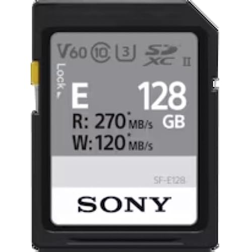 Sony Carte SD 128Go Go R270 W120 - SFE-128-A