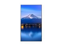 Sharp Sharp MultiSync PN-P556 P6 Series - 55 Classe (54.6 visualisable) ecran LCD retro-eclaire par LED - 4K - pour signalisation numerique