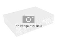 Aten Extenseur KVM Aten CE920-ATA-G DisplayPort USB 150 m Rack Métal Black