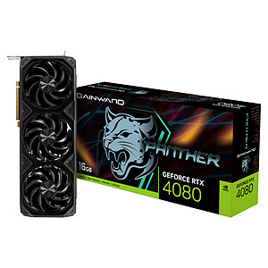 Gainward GeForce RTX 4080 Panther
