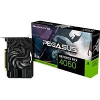 Gainward RTX 4060 Pegasus