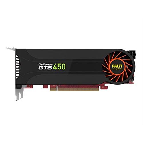 Palit GTS450 Carte graphique Nvidia Interface PCI Express 1 Go