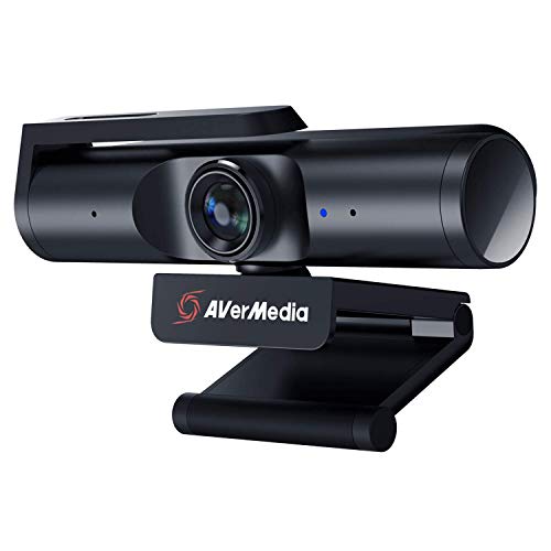 AVerMedia Live Streamer CAM 513
