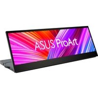 Ecran PC Asus Pro Art PA147CDV
