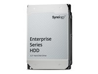 Synology HAT5320-8T 8 To