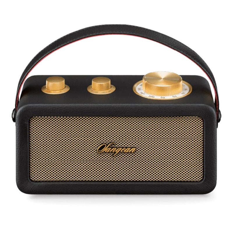 Sangean Radio Bluetooth portable Sangean RA-101 avec batterie Black or