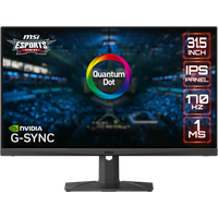 MSI 31 5 QLED Optix MAG321QR QD
